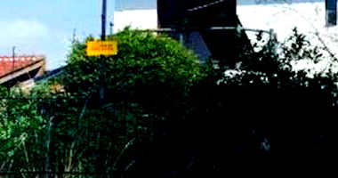 Casa Ocupada com 3 Quartos e 3 Vagas em Canoas/RS