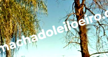 Lote Urbano em Rio Brilhante/MS - Lote 6F, Quadra 02