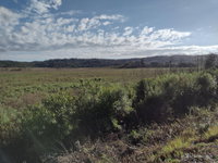 Terreno rural com 74.282,70m² em Inácio Martins/PR