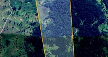 Sítio com 41,57 ha em Painel/SC