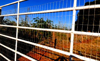 Terreno em Palminópolis/GO com 446,15m²