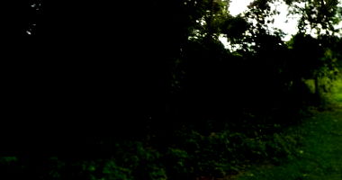 Fazenda de 230,14 hectares com represas em Cacoal/RO