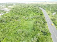 Terreno 61.454m² com APP e Mata Fechada