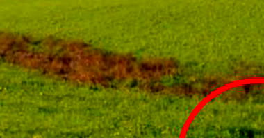 Fração ideal 33% de gleba rural com 103,59 hectares