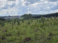 Área Rural com 41.200m² em Lages/SC