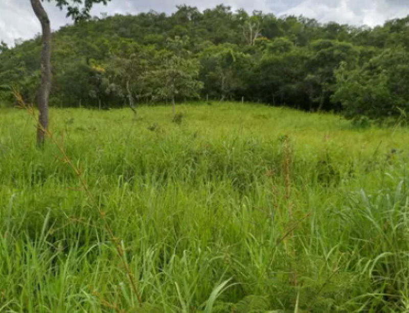 20% da Fazenda Piratinga em Formoso/MG