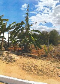Terreno 300m² Lote 383 New Golden Park - Oportunidade