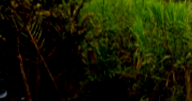 Espaçoso Lote Desocupado com 514.95 m² de Área