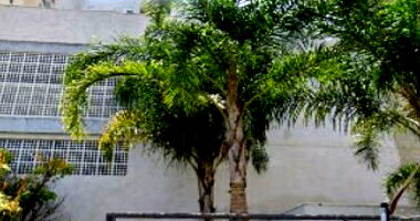 Apartamento 1 vaga, 53,57m² útil, 92,12m² total, ocupado