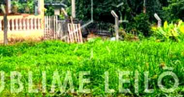 Terreno com Construção em Embu-Guaçu