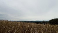 Fazenda de 23,2 Alqueires em Renascença-PR