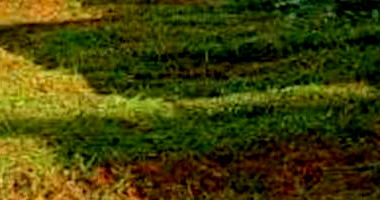 Terreno Amplo em Estancia Itaici - Caldas Novas/GO