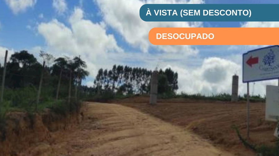 Terreno de 4.386 m² com Potencial para Desenvolvimento