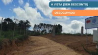 Terreno de 4.386 m² com Potencial para Desenvolvimento