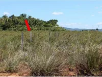 Área Rural em Leilão - Fazenda Cavalcanti 02 - Desocupada