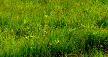 Terreno de 324m² no Jardim Monte Cristo