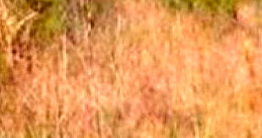 Terreno com 711 m² em Nova Petrópolis - RS