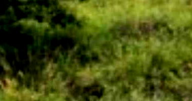 Terreno 221.98m² no Loteamento Vivari