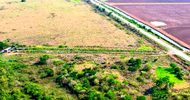 Fazenda Pouso Alegre com 129ha em Miranda-MS