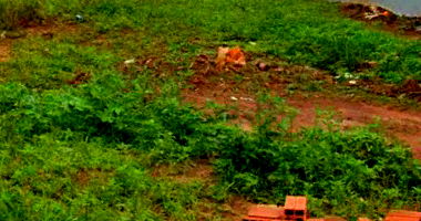 Terreno com 250m² no Jardim Montreal I em Lobato/PR