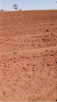 Sítio Pacífico I - 17,06 ha com benfeitorias em João Ramalho/SP