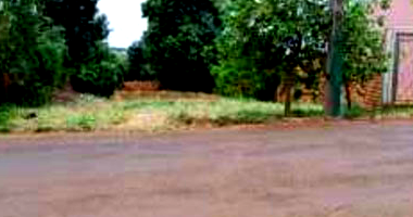 Terreno em Engenheiro Beltrão - PR com 602m²