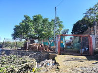 Casa com 60m² e terreno de 240m² em Camaquã/RS