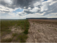 Fazenda com 250,96 hectares, desocupada, ideal para investimento rural
