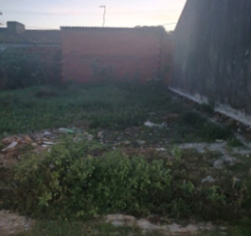 Lote de Terreno em Capela/SE - Oportunidade Única!