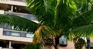 Apartamento em Jacarepaguá - 1 Vaga - Ocupado