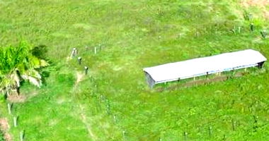 Chácara Rural com 14,52 Ha em Alvorada do Oeste/RO