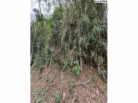 Parte ideal 50% terreno 900m² sem edificação, aclive