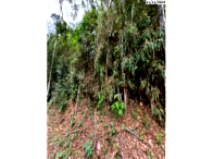 Parte ideal 50% terreno 900m² sem edificação, aclive