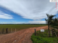 Fazenda com 139,66 hectares e benfeitorias em Edealina/GO