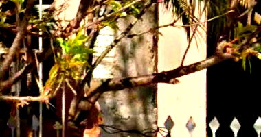 Direitos sobre Imóvel com 125m² no Residencial Araucária I em Arapongas/PR