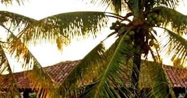 Casa com Piscina e Edícula em Vila Velha/ES