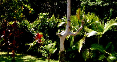 Terreno amplo em Guaratuba - 900 m² próximo à praia