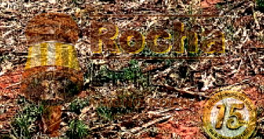 Imóvel Rural com 24,20 hectares, área ampla para investimento