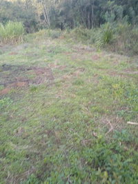 Terreno Rural de 96,8 hectares em Campo Magro/PR