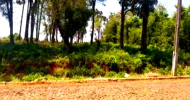 Terreno Urbano em Virmond/PR com 606m²