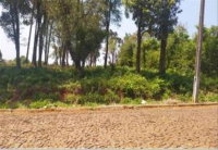 Terreno Urbano em Virmond/PR com 606m²