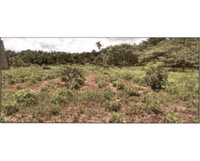 Terreno comercial com 4.271,55m² em Jardim Tropical