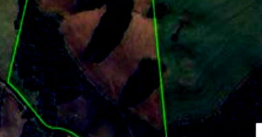 Imóvel Rural 7 ha Fazenda Butiazinho, 0 quartos, 0 banheiros, Ocupado