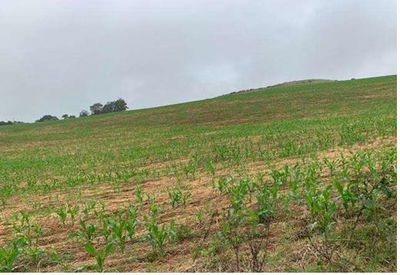 Frações de Área Rural com Casa em Nonoai/RS