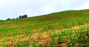 Frações de Área Rural com Casa em Nonoai/RS
