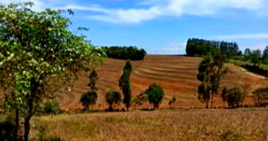 Terreno Rural com 3ha em Wenceslau Braz/PR