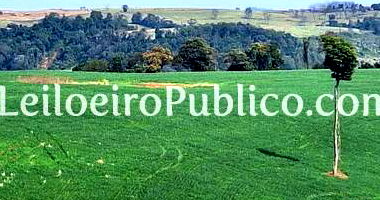 Lote Rural com 30.303,46 m² em Capanema - Terreno amplo