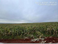 Gleba Rural de 12,10 ha com Aptidão Agrícola em Japurá/PR