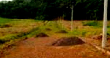 Lote Urbano com Área Total de 414m² em Seberi/RS