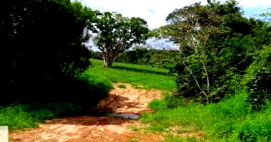 Fazenda Cabeleira Invernada - 25,4575 ha de Terras